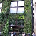 Nie oglądałem wszystkiego, jeszcze muzeum kończyli. Otwarcie było 23.06.2006 #muzeum #musee #natura #Branly #Paryż #żuczek #ściana #rośliny