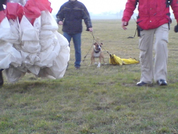 2.grudzień.2006.
Ostatnie latanie w tym sezonie...chyba :-)