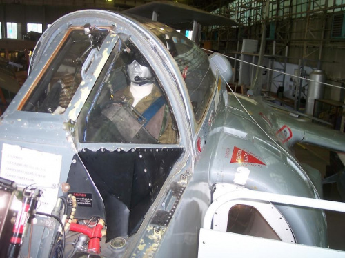 Harrier #Samolot #Harrier #Myśliwiec