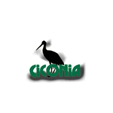logo
www.galeon.com #logo #SymbolikaBociana #WizerunekBociana