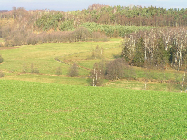 Dolina Słupiny - Mostek