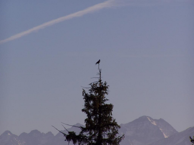 Niedziela w Zakopanem #góry #Zakopane #Tatry