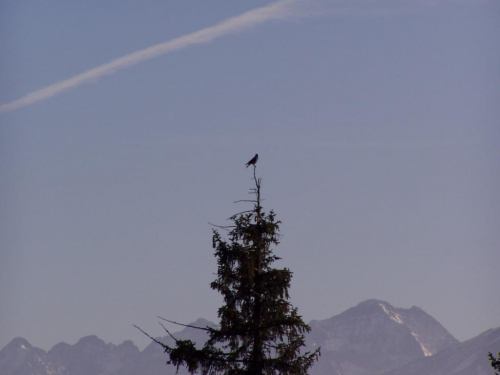 Niedziela w Zakopanem #góry #Zakopane #Tatry