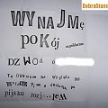 Najlepsze ogłoszenia mieszkaniowe...