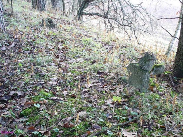 Cmentarz z I ws. Cierzpięty #Cierzpięty #Cmentarz #Anarchista #Remes #KWJ #Mazury #IWś