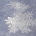 Płatki śniegu #ŚniegSnowflakes