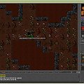 tibia 40lvl #tibia