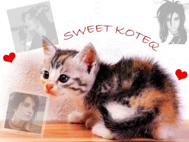 #KotekKoteqBillKaulitzLoveSweet