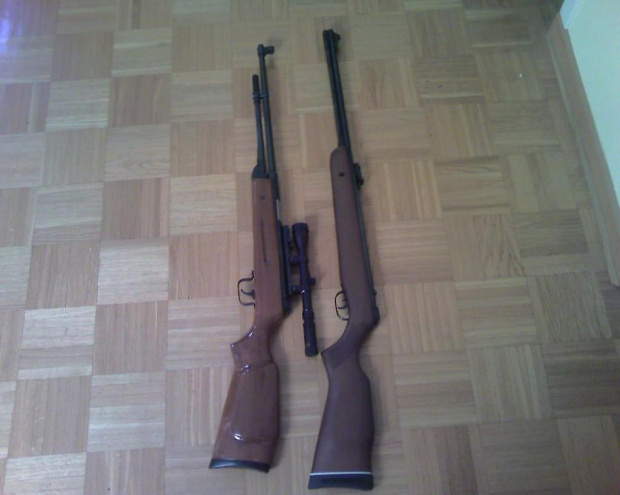 Gamo CF 30 vs XS-B4