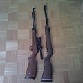 Gamo CF 30 vs XS-B4