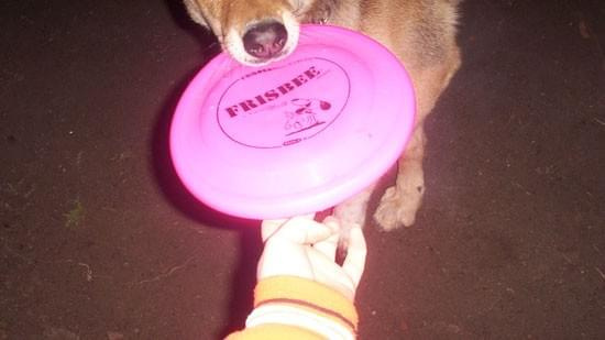 Pierwsze kroki z frisbee