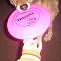 Pierwsze kroki z frisbee