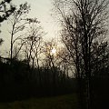 jeśłi uważnie obserwujecie moje fotki, to możecie dostrzec, że to ta sama ścieżka na której grasuje lis i sarny... #chmury #drzewa #krajobraz #krajobrazy #las #lasy #natura #niebo #przyroda #słońce #widok #widoki #zachód #ZachódSłońca