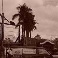 Taipei