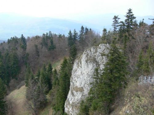 Szczawnica i okolice - maj 2006