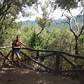 La Gomera - a na drzewach porosty #Teneryfa