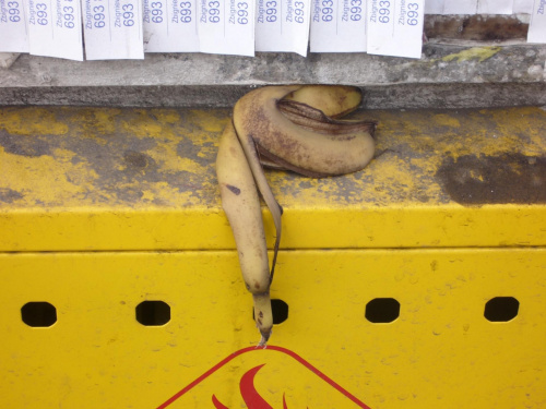 Zwykły banan