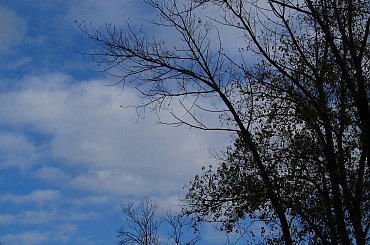 Zdjęcia wykonano w Warszawie ,na Osiedlu Służew Nad Dolinką.
Aparat Canon PowerShot 31IS #BarwyJesieni