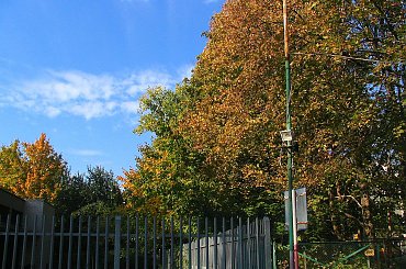 Zdjęcia wykonano w Warszawie ,na Osiedlu Służew Nad Dolinką.
Aparat Canon PowerShot 31IS #BarwyJesieni