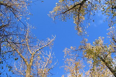 Zdjęcia wykonano w Warszawie ,na Osiedlu Służew Nad Dolinką.
Aparat Canon PowerShot 31IS #BarwyJesieni