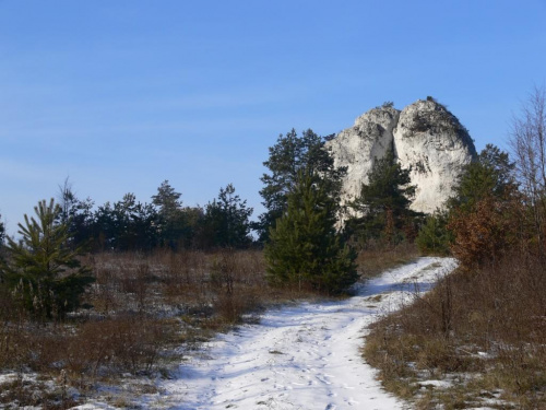 Ruskie Góry, Straszykowe Skały.