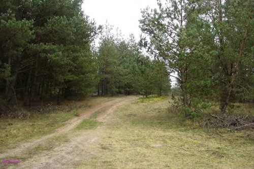Okolice Orzysza #Remes #Mazury #Pisz