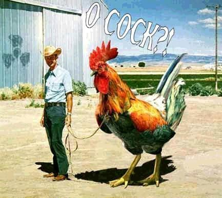 O COCK?