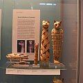 Mumie kotów, BM