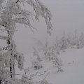 Beskidy 03-2006