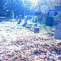 STETTIN FRIEDHOF