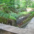 WOLFSCHANZE