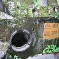 WOLFSCHANZE