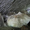 WOLFSCHANZE