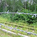 WOLFSCHANZE