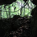 WOLFSCHANZE