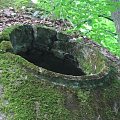 WOLFSCHANZE