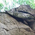 WOLFSCHANZE