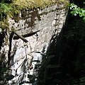 WOLFSCHANZE