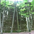 WOLFSCHANZE