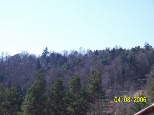 widok z wzgórza nad Paleśnicą