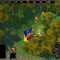 Heroes of Might and Magic V
Demo