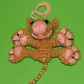rudziaszek z wąsami - Właściciel - Bzinka #kot #kotek #maskotka #szydełko #crocheted #crochet
