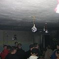 FOREST RAVE 1