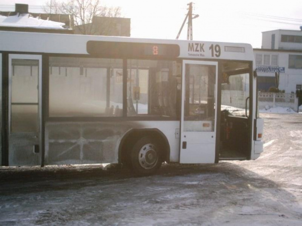 Neoplan 19 pętla Tamka #neoplan #tomaszów