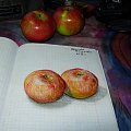 This is a picture from my note book ^o^'' teacher said to drow something nice..on example some fruits..maybe apple^_-