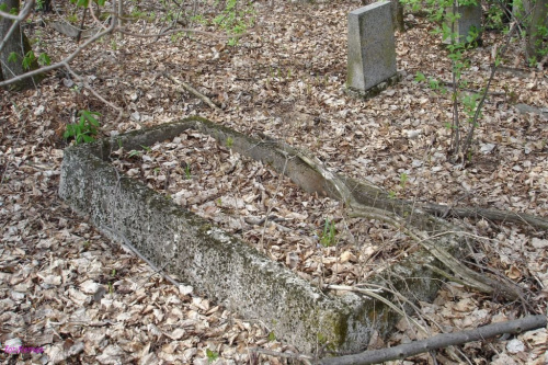 Orłowo - cmentarz wiejski