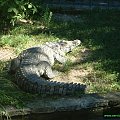 warszawa, zoo,