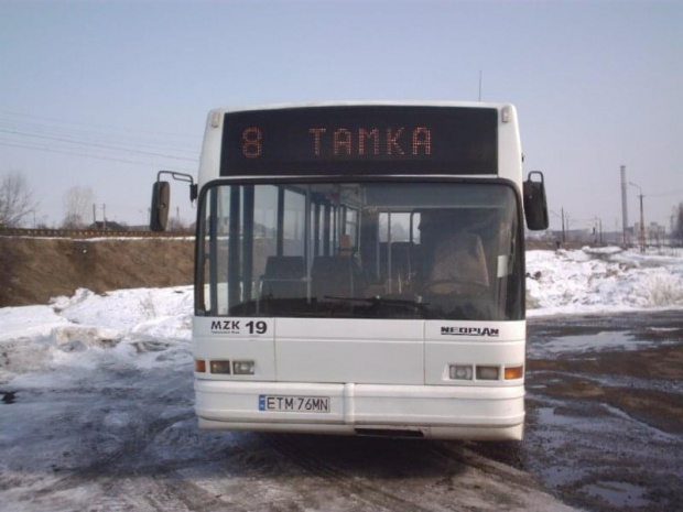 Neoplan 19 pętla Tamka #tomaszów