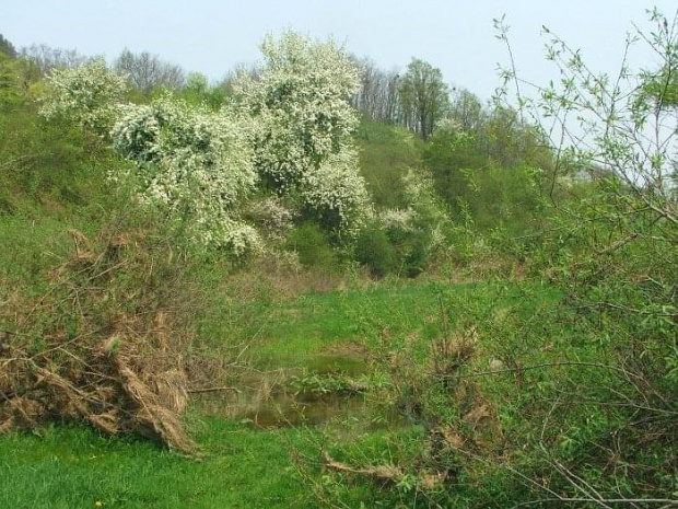 Na szlaku z Puław do Janowca