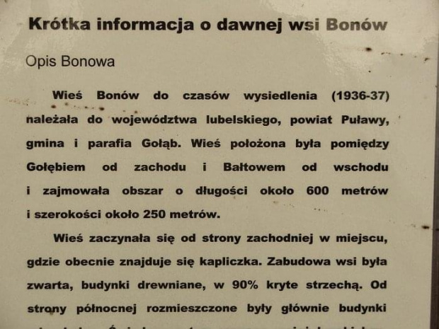 Bonów